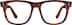 Explorer 638845 in Tortoiseshell