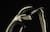 Image of Sport Sunglasses thumbnail