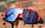 Image of Sports Sunglasses thumbnail