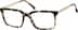 Square Glasses 7803725 in Tortoiseshell