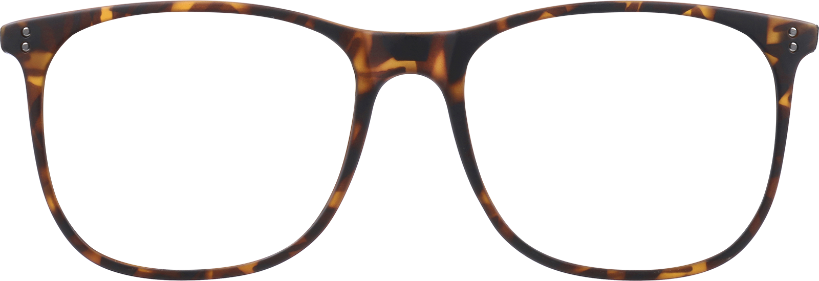 Front view of Square Sunglasses 7806425 in Tortoiseshell