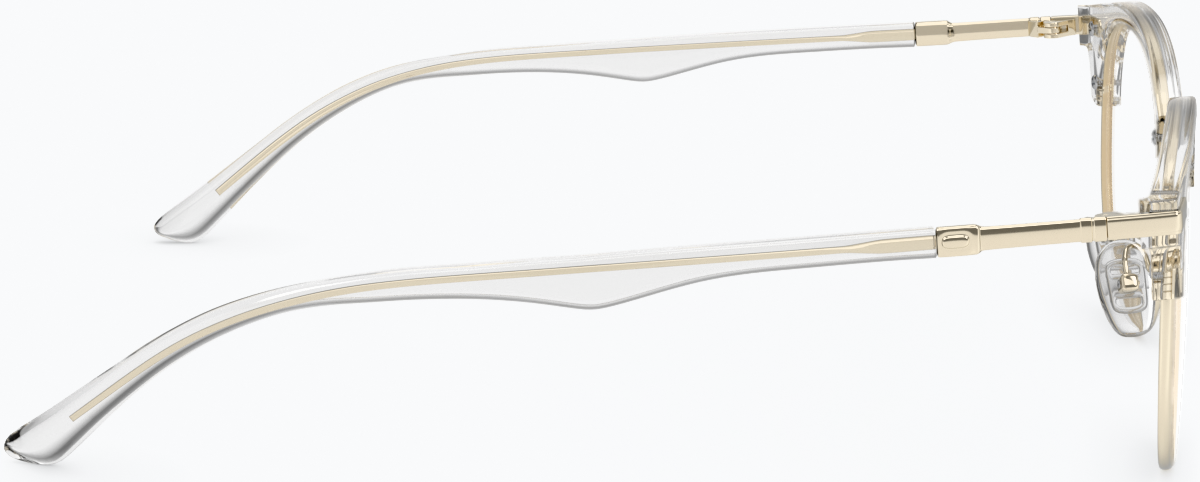Side view of Browline Glasses 7810723 in Clear thumbnail