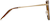 Side view of Cat-Eye Glasses 7813815 in Amber thumbnail
