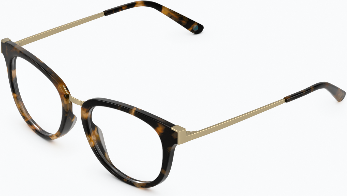 Angle view of Square Glasses 7815325 in Tortoiseshell thumbnail