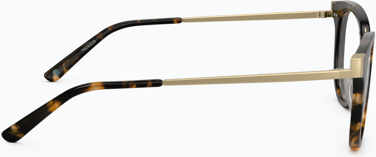 Side view of Square Glasses 7815325 in Tortoiseshell thumbnail