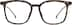 Square Glasses 7816825 in Tortoiseshell