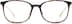 Rectangle Glasses 7820325 in Tortoiseshell