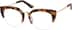 Browline Glasses 7821825 in Classic Tortoiseshell