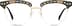 Browline Glasses 7821925 in Tortoiseshell