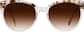 Image of Round Glasses thumbnail