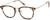 Angle view of Square Glasses 7825025 in Tortoiseshell thumbnail