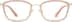 Women's Rectangle Glasses 7825715 in Brown