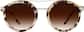Image of The People's Frames thumbnail