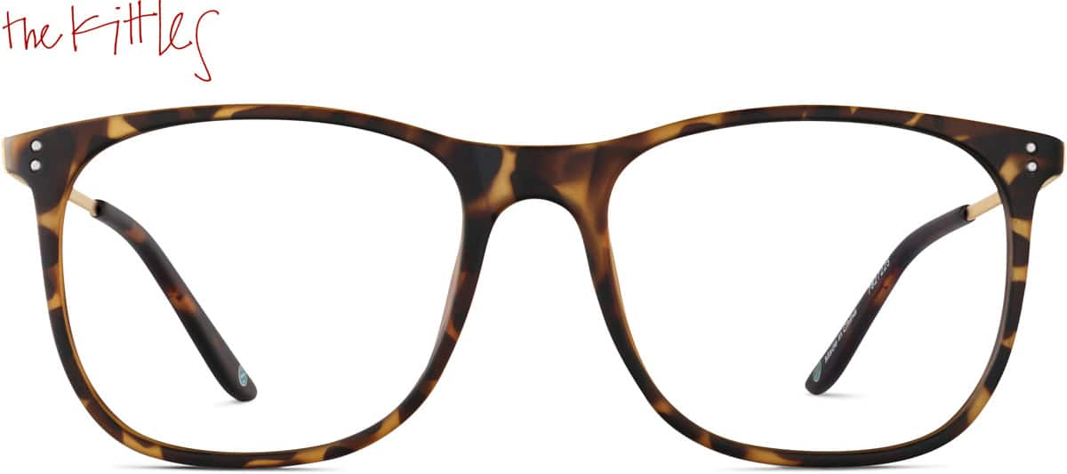 Front view of Sunny and 85 7827225 in Tortoiseshell