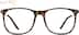 Sunny and 85 7827225 in Tortoiseshell