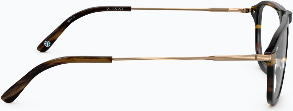 Side view of Stargazer Glasses 7829125 in Tortoiseshell thumbnail