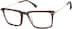 Red Carpet Glasses 7838515 in Brown