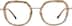 Geometric Glasses 7840315 in Brown