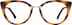 Cat-Eye Glasses 7841935 in Tortoiseshell