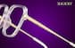 Image of Bold Wisdom Glasses thumbnail