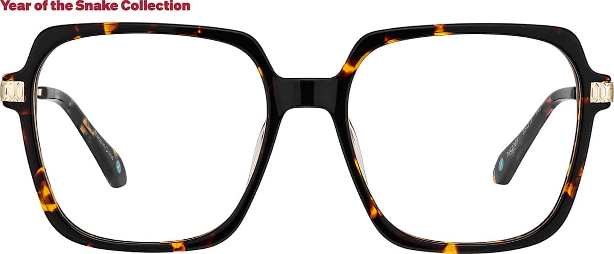 Front view of Bold Wisdom 7842225 in Tortoiseshell