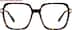 Bold Wisdom 7842225 in Tortoiseshell