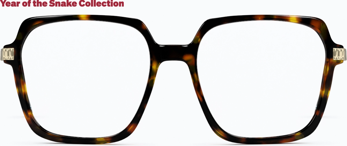 Front view of Bold Wisdom Glasses 7842225 in Tortoiseshell thumbnail