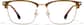 Front view of Capricorn Browline Eyeglasses 7843415 in Amber and Gold thumbnail