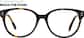 Front view of Champion Glasses 99111325 in Tortoiseshell thumbnail