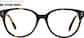 Front view of Champion Glasses 99111825 in Tortoiseshell thumbnail