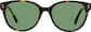 Image of Champion Glasses thumbnail