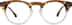 Fourth Quarter 99113425 in Tortoiseshell