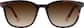 Image of Bloom Glasses thumbnail