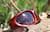 Image of Wrap-Around Sunglasses thumbnail