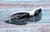 Image of Half-Rim Sunglasses thumbnail