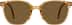 Foldable Square Sunglases A10170115 in Brown