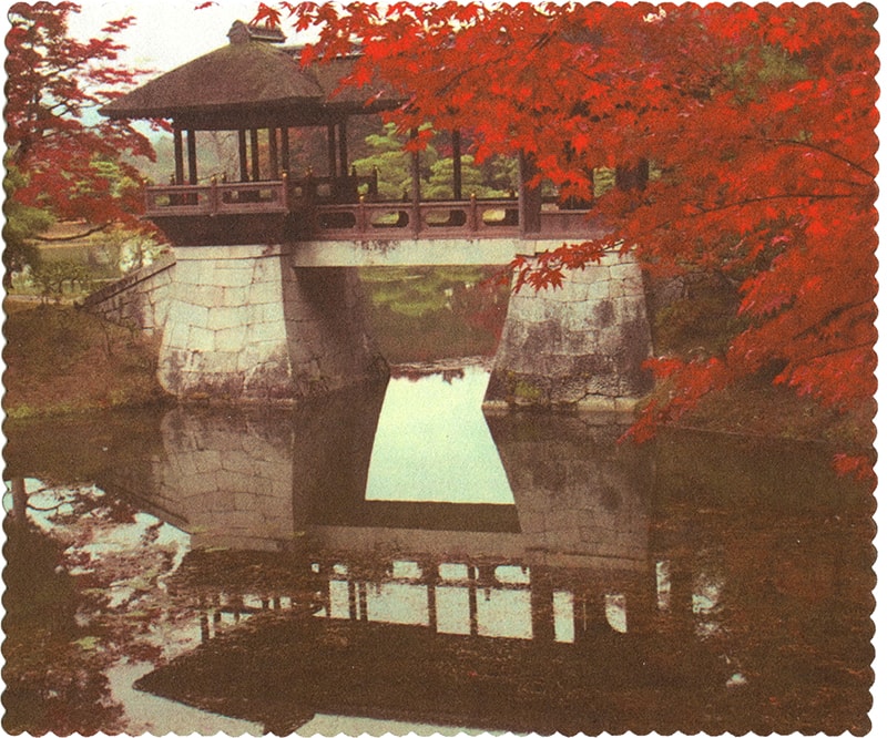 Pattern Lens Cleaning Cloth A60111115 Zenni Optical