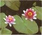 Pattern Lens Cleaning Cloth-angle-view-01 thumbnail