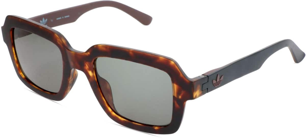 Angle view of Adidas AOR021 AOR02125 in Tortoiseshell