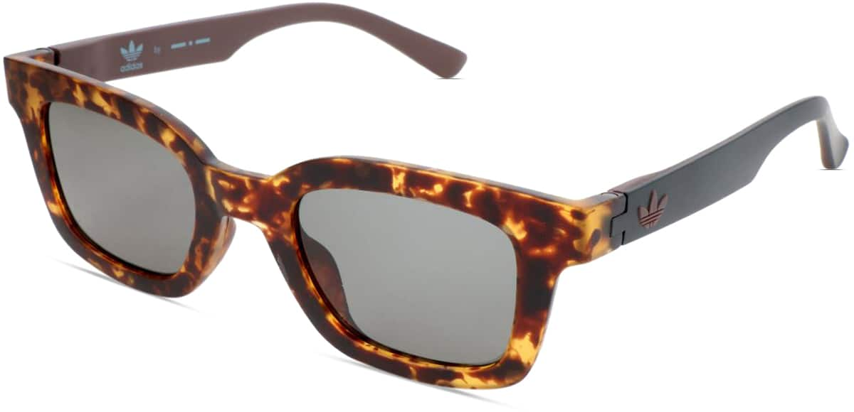 Angle view of Adidas AOR023 AOR02325 in Tortoiseshell