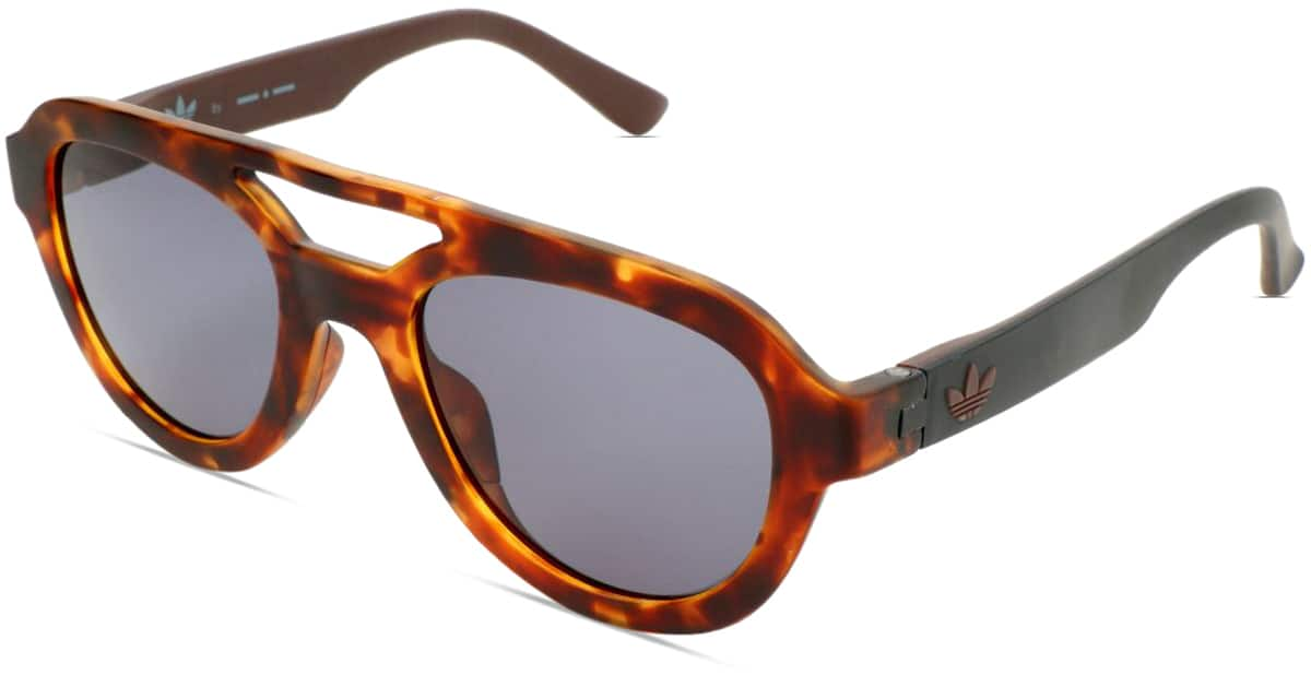 Angle view of Adidas AOR025 AOR02525 in Tortoiseshell