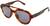 Angle view of Adidas AOR025 AOR02525 in Tortoiseshell thumbnail