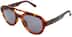 Adidas AOR025 AOR02525 in Tortoiseshell