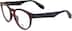 Adidas AOR5008 AOR500825 in Tortoiseshell