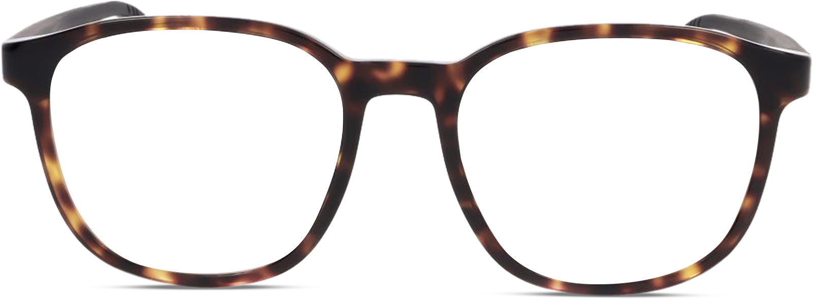 CAR887825_frame.png