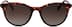 Fossil FOS3122 FOS312225 in Tortoiseshell