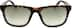 Guess GUE6971 GUE697125 in Dark Tortoiseshell