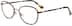 Jimmy Choo JC229 JIM22915 in Bronze