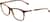 Angle view of Lacoste LAC2885 LAC288525 in Havana thumbnail