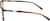 Side view of Lacoste LAC2885 LAC288525 in Havana thumbnail
